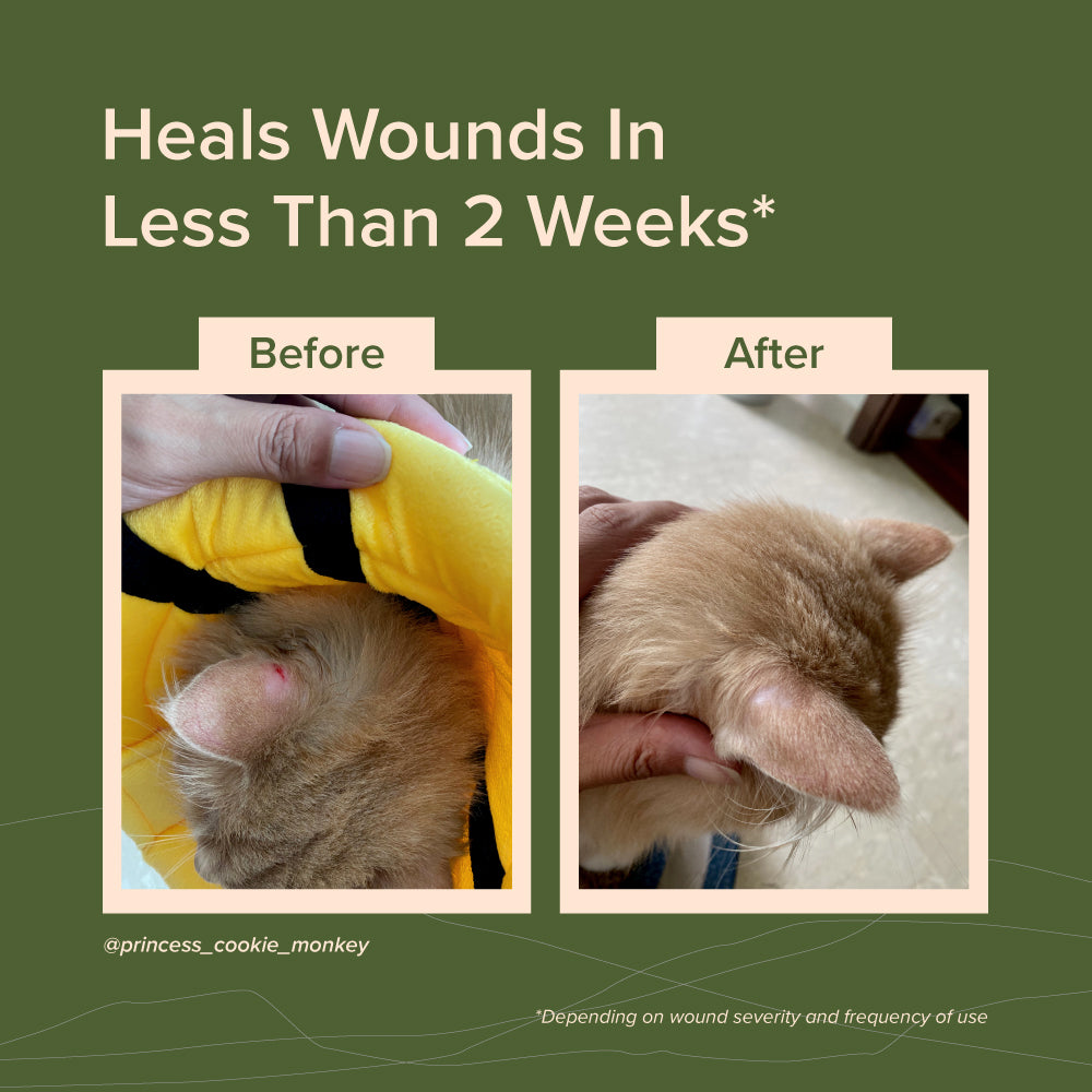 Nurture Pro NANO Colloidal Silver Pet Wounds Treatment