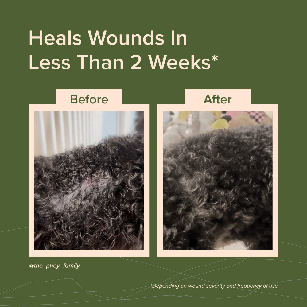 Nurture Pro NANO Colloidal Silver Pet Wounds Treatment