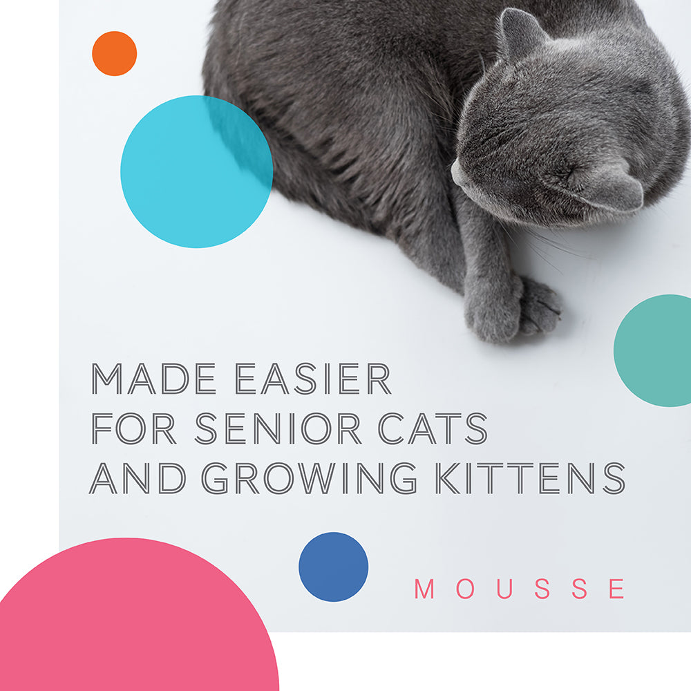 Daily Delight Mousse Wet Cat Food 70/80g