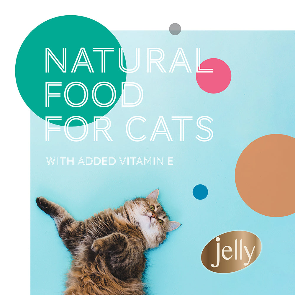 Daily Delight Jelly Skipjack Tuna Wet Cat Food 80g