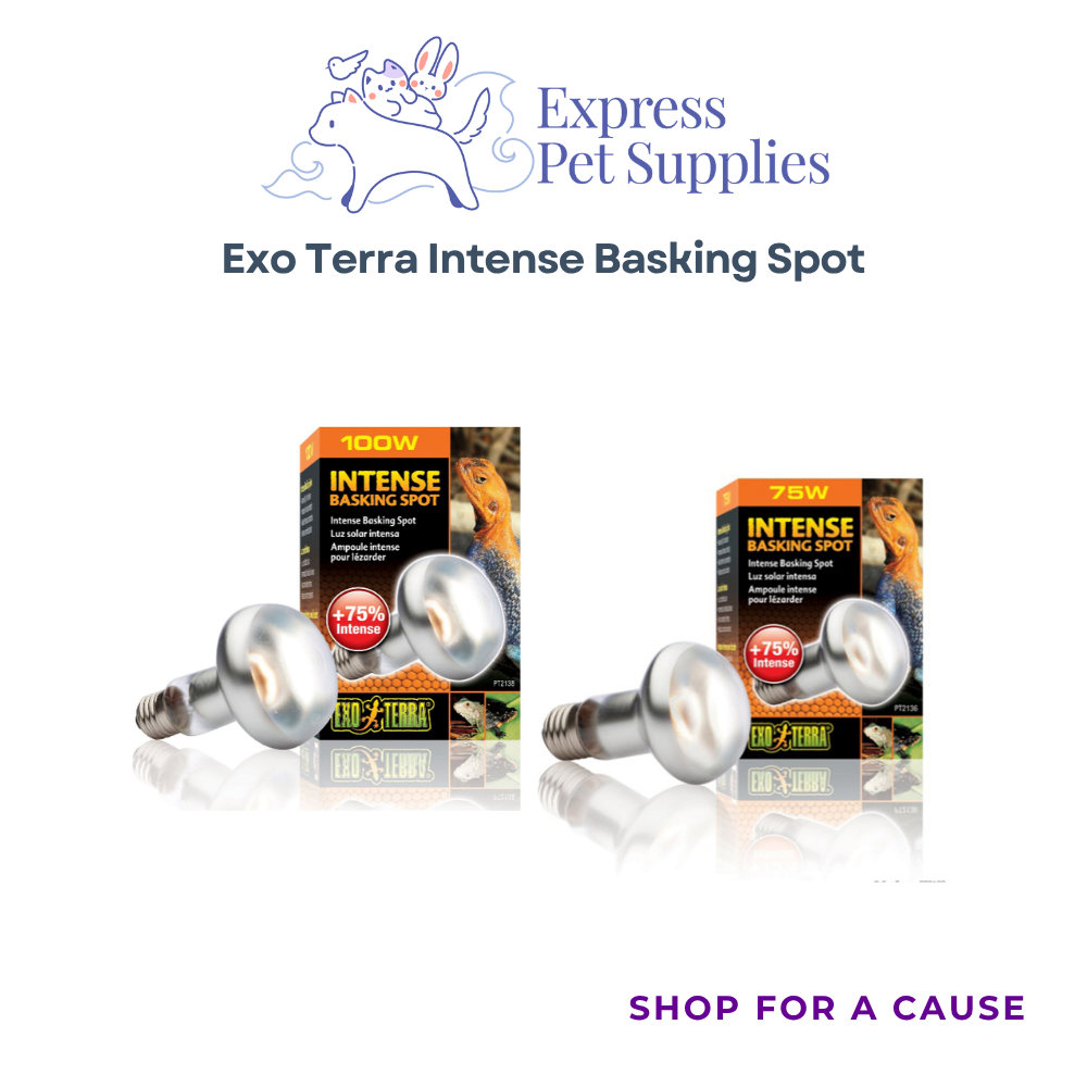 Exo Terra Intense Basking Spot