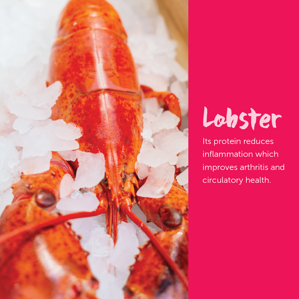 Loveabowl Grain Free Dry Cat Food (Herring, Salmon & Lobster)