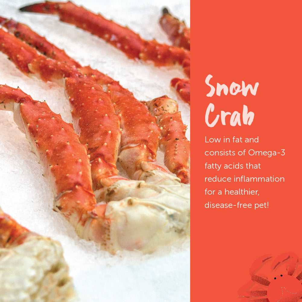 Loveabowl Grain Free Dry Cat Food (Chicken & Snow Crab)