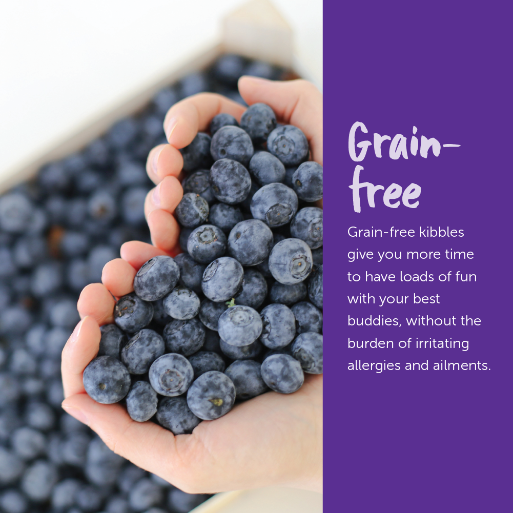 Loveabowl Grain Free Dry Cat Food (Chicken & Snow Crab)