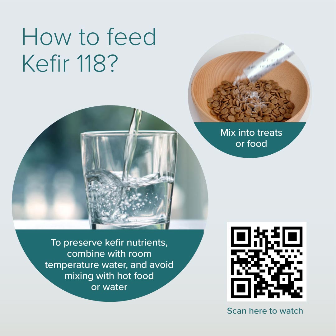 Nurture Pro Kefir 118 Freeze-dried Powder Dog & Cat Supplements 2g x 15