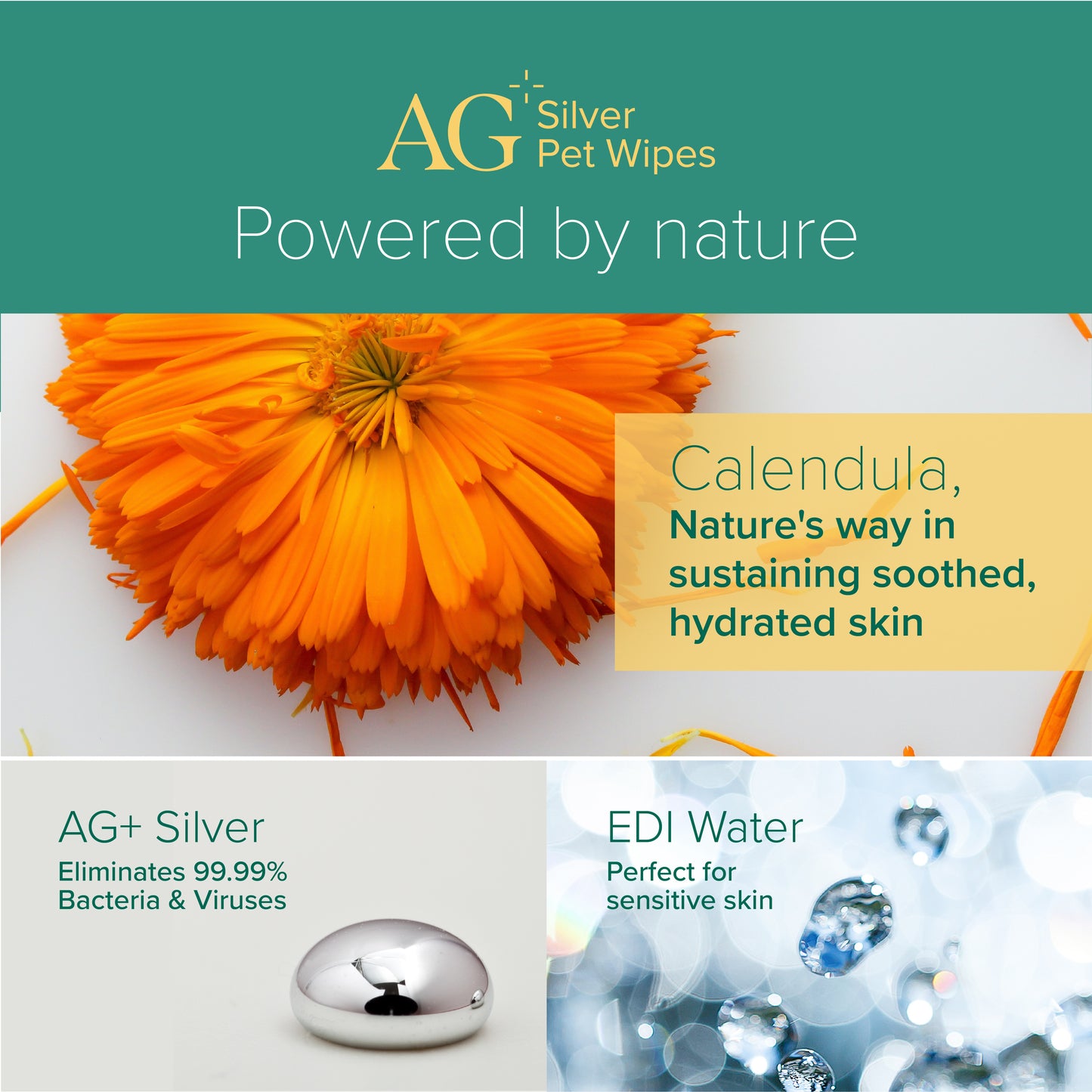 Nurture Pro AG Silver Pet Wipes