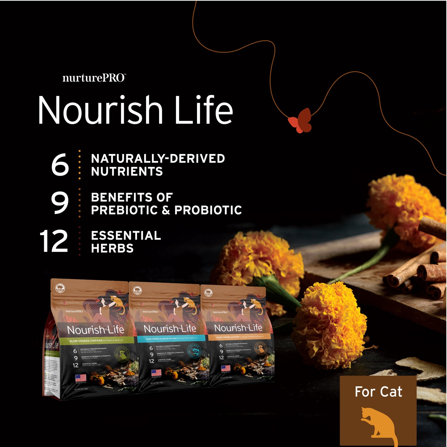 Nurture Pro Nourish Life Slow-cooked Dry Cat Food, Kitten (Alaskan Salmon)