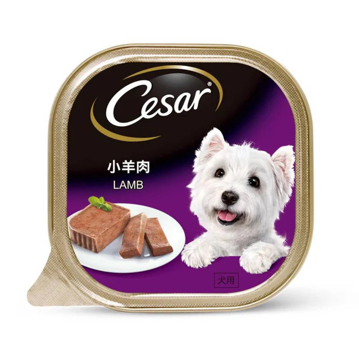 💥 Cesar Dog Food Wet 100g | Mix & Match 11 Flavours | Bundle of 24 🐶 Save More, Feed Better!