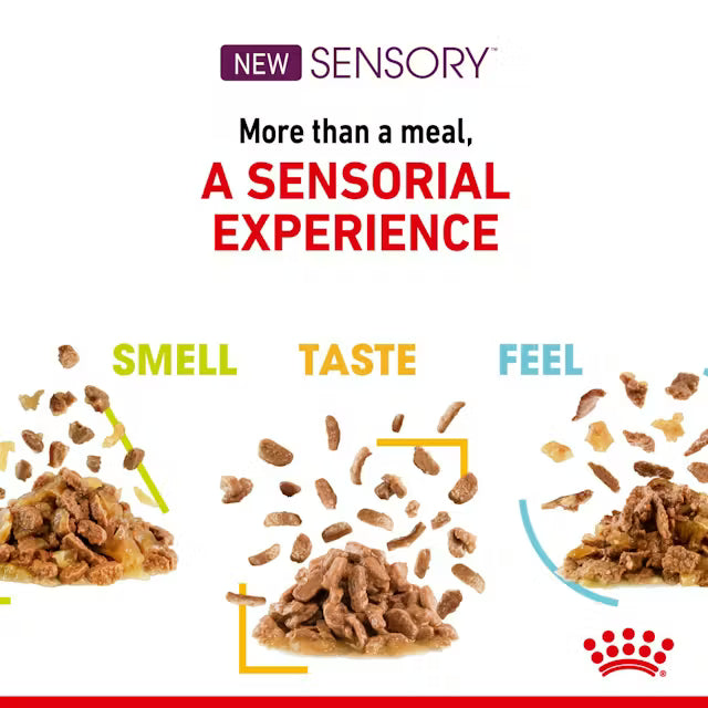 Royal Canin Feline Nutrition Sensory Pack Gravy Pouch Cat Wet Food 85g x12