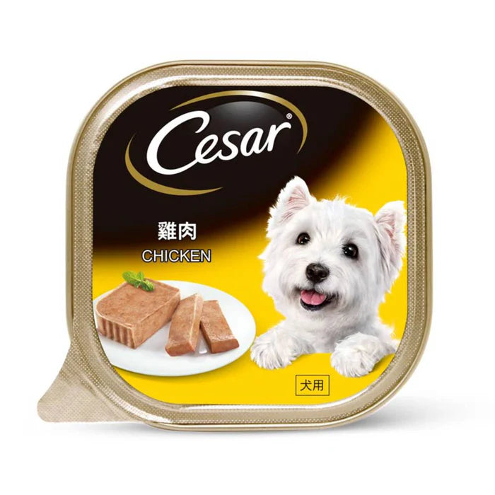 💥 Cesar Dog Food Wet 100g | Mix & Match 11 Flavours | Bundle of 24 🐶 Save More, Feed Better!