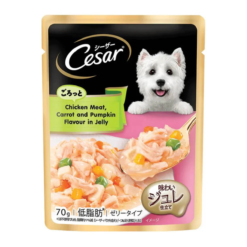 Cesar Pouch Dog Wet Food 70g