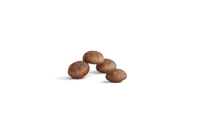 Royal Canin Ageing Sterilised 11+ (Replaced to Sterilised 12+) Cat Dry Food 400g & 2kg