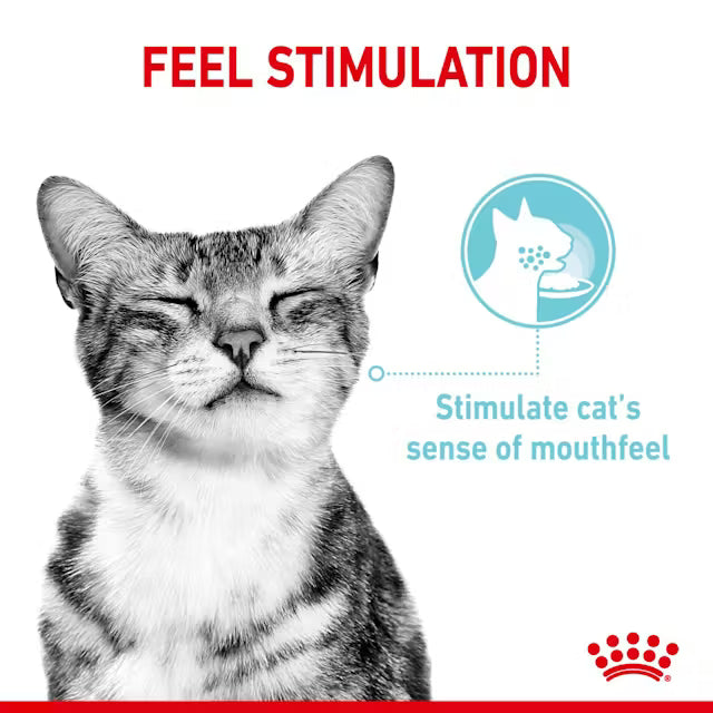 Royal Canin Feline Nutrition Sensory Pack Gravy Pouch Cat Wet Food 85g x12