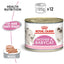 Royal Canin Mother & Babycat Ultra Soft Mousse Cat Wet Food 195g x 12