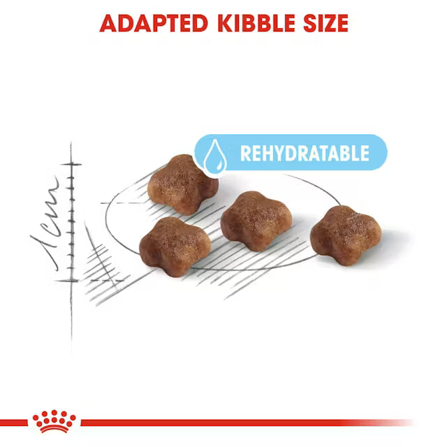 Royal Canin Mother & Babycat Dry Cat Food 400g & 2kg