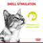 Royal Canin Feline Nutrition Sensory Pack Gravy Pouch Cat Wet Food 85g x12