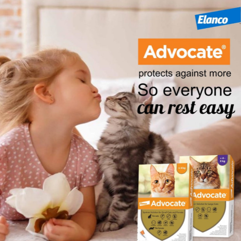 Elanco Advocate Flea and Heartworm Treatment for Cats