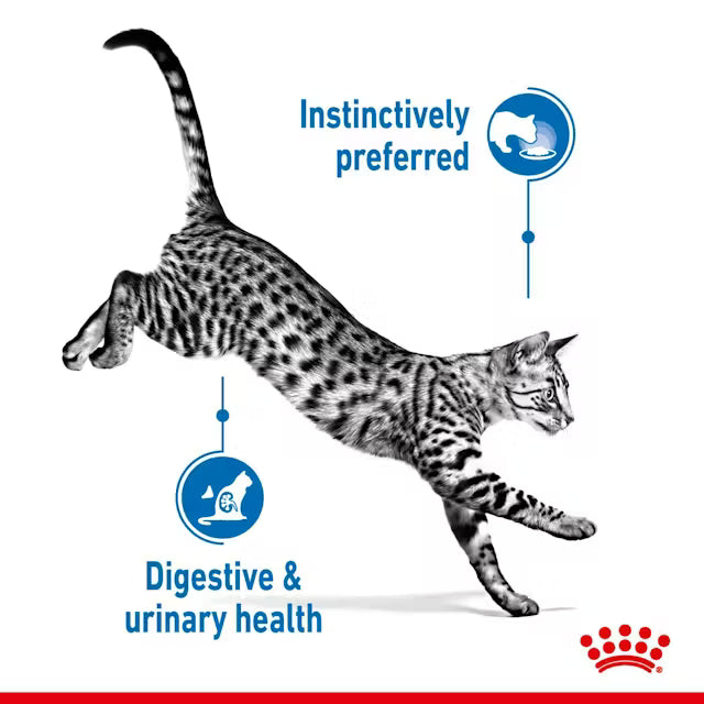 Royal Canin Feline Nutrition Indoor Sterilised Adult Pouch Cat Food 85g x 12