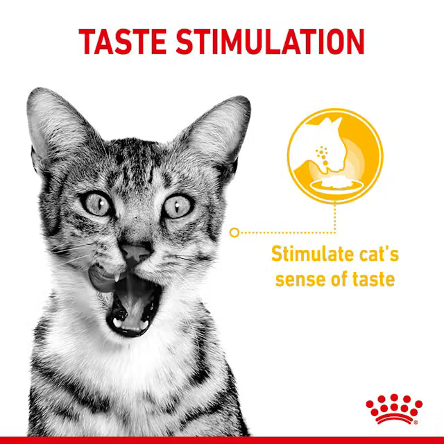 Royal Canin Feline Nutrition Sensory Pack Gravy Pouch Cat Wet Food 85g x12