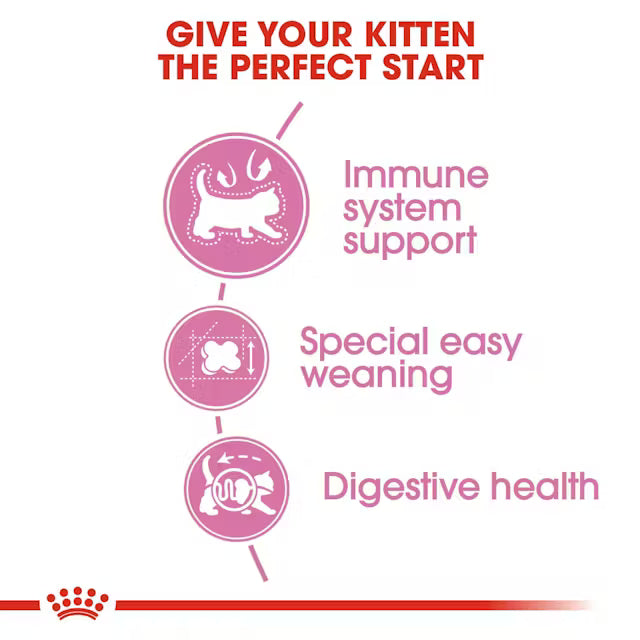 Royal Canin Mother & Babycat Dry Cat Food 10kg