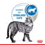 Royal Canin Feline Nutrition Indoor Sterilised Adult Pouch Cat Food 85g x 12