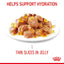 Royal Canin Feline Nutrition Light Weight Adult Pouch Cat Food 85g x12
