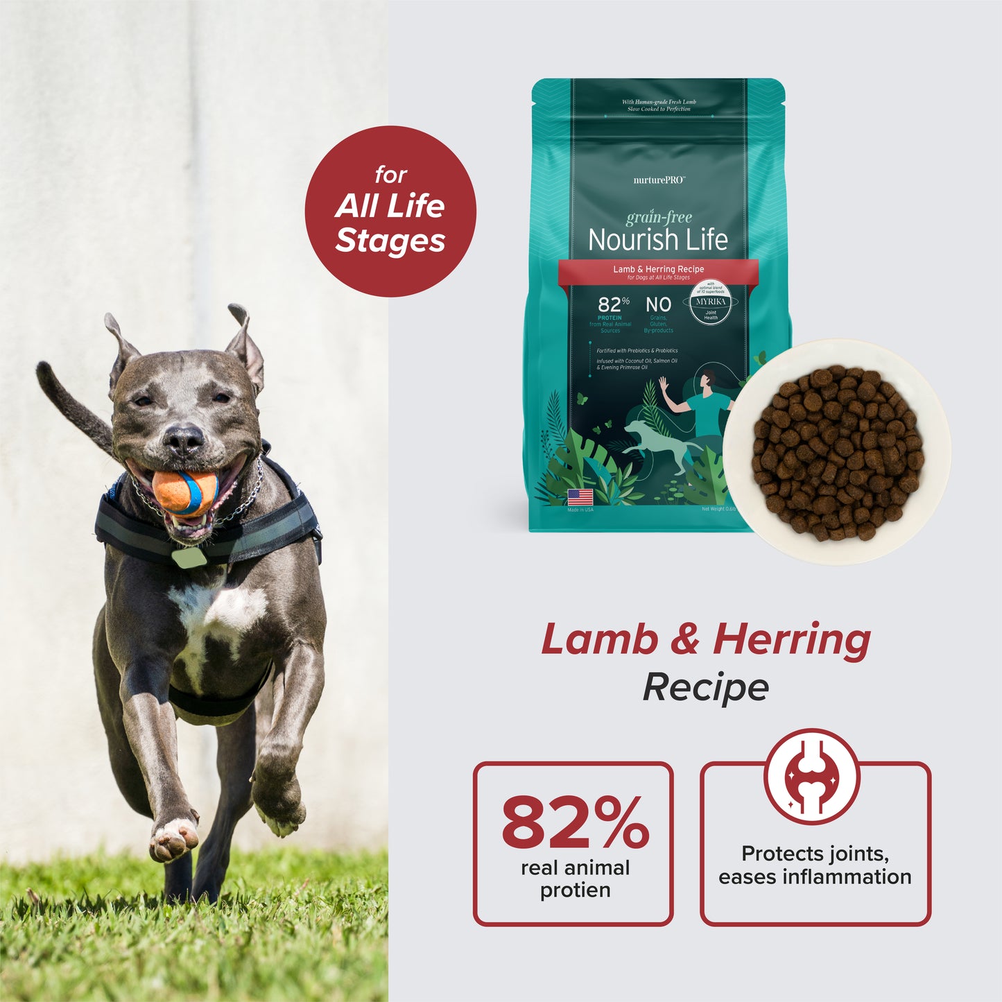 Nurture Pro Nourish Life Slow-cooked Grain-free Dry Dog Food (Lamb & Herring)