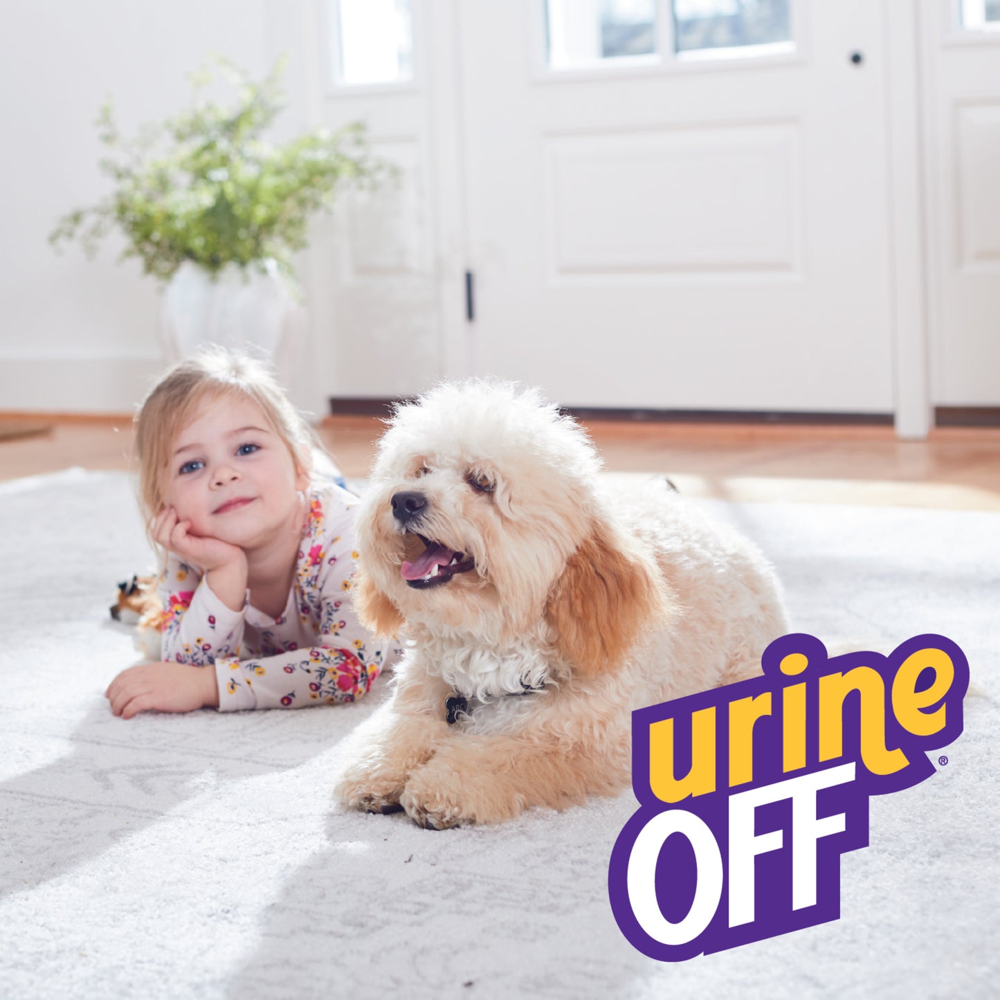 Urine Off Dog & Puppy Formula
