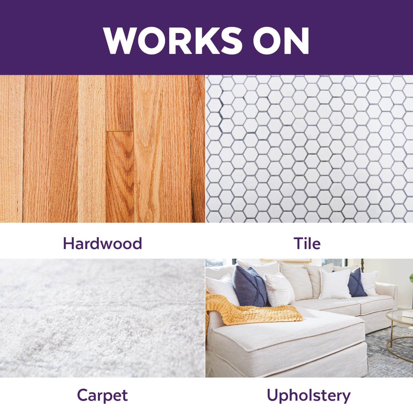 Urine Off Cat & Kitten Formula