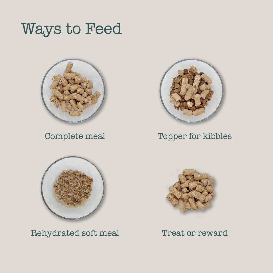 Boneve Freeze Dried Dog Food (Beef & Hoki)