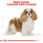 Royal Canin Cavalier King Charles Adult Dry Dog Food 1.5kg