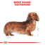 Royal Canin Dachshund Adult Dry Dog Food 1.5kg