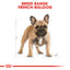 Royal Canin French Bulldog Adult Dry Dog Food 3kg