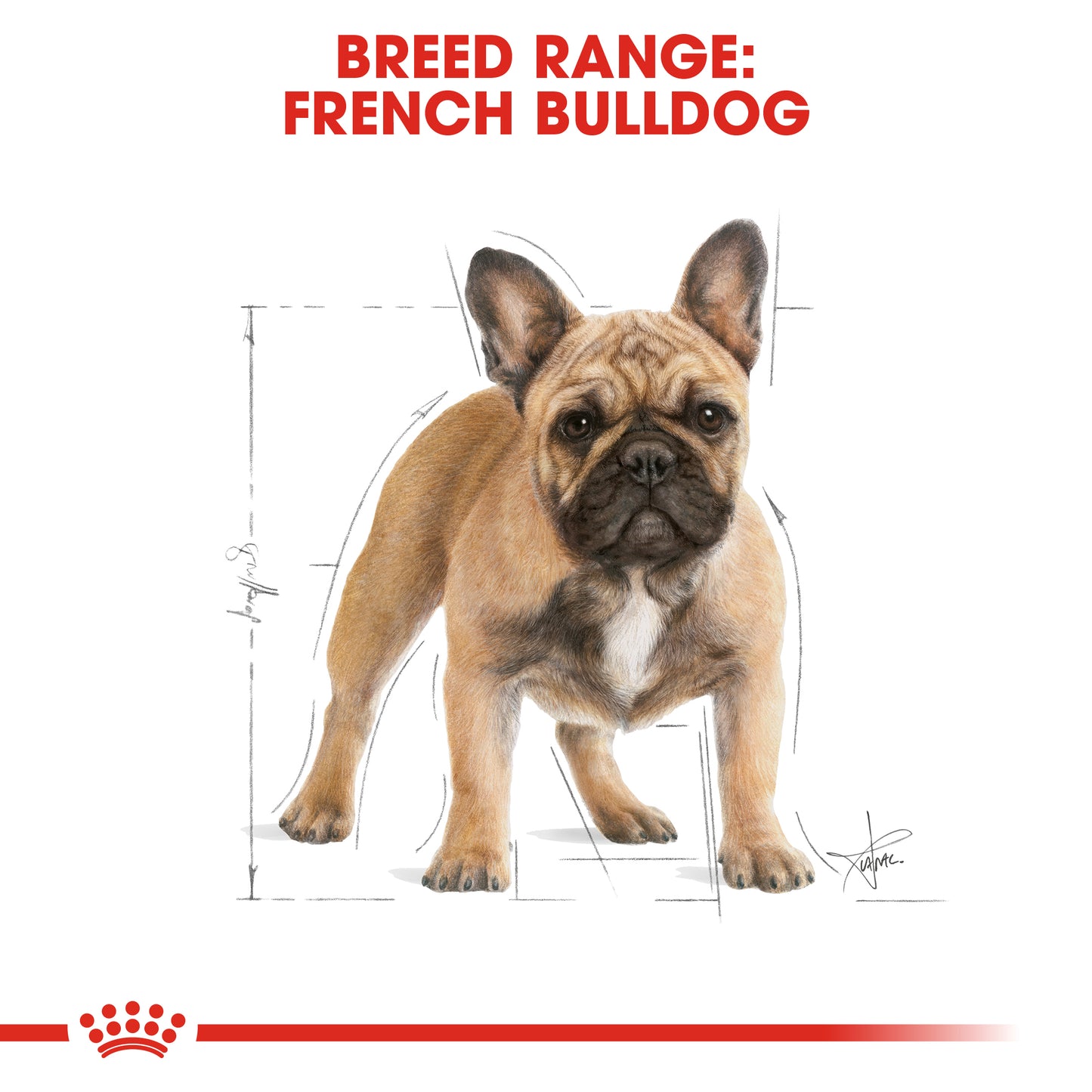 Royal Canin French Bulldog Adult Dry Dog Food 3kg