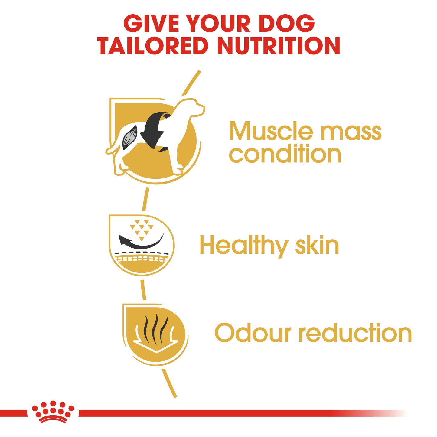 Royal Canin French Bulldog Adult Dry Dog Food 3kg