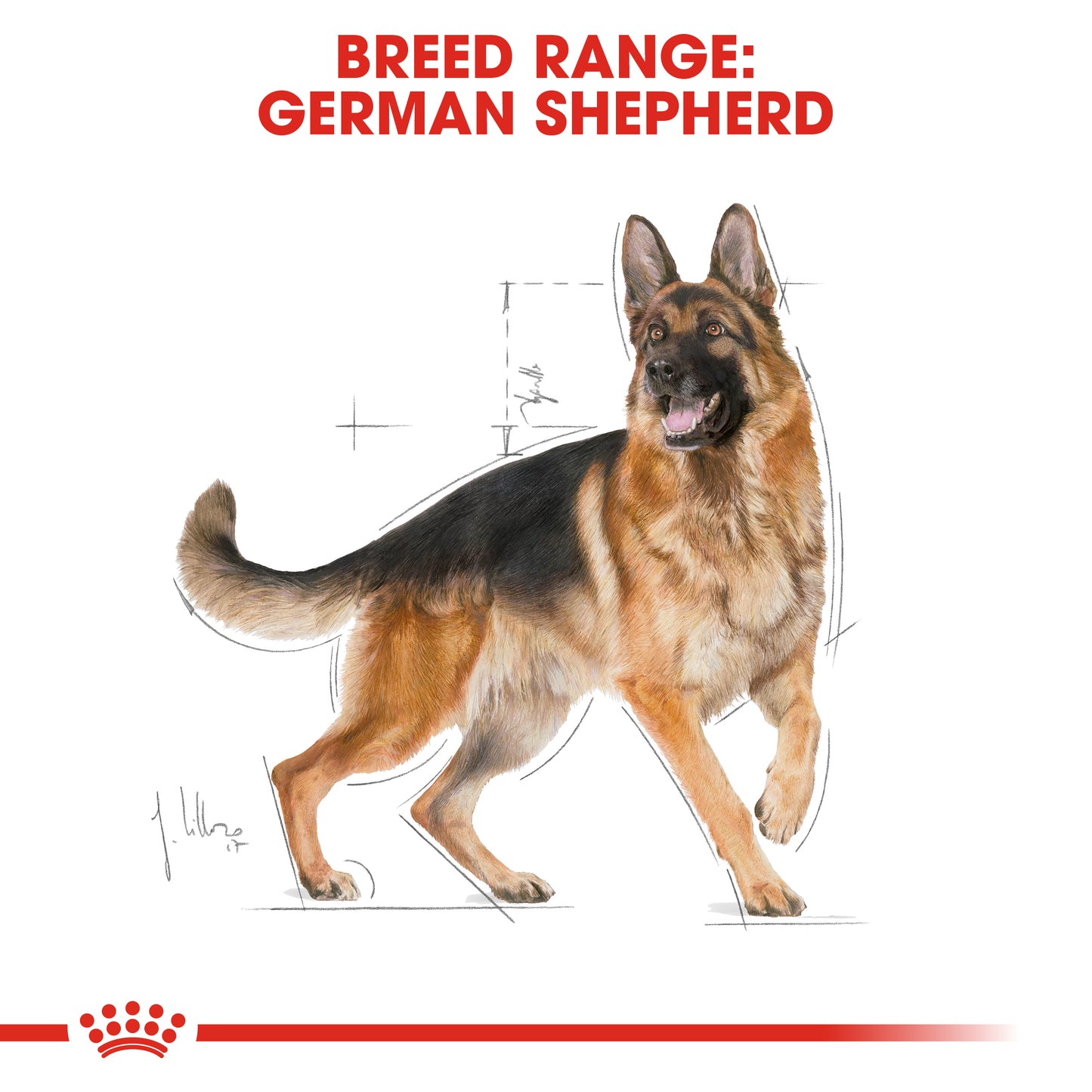 Royal Canin German Shepherd Adult Dry Dog Food 3kg & 11kg