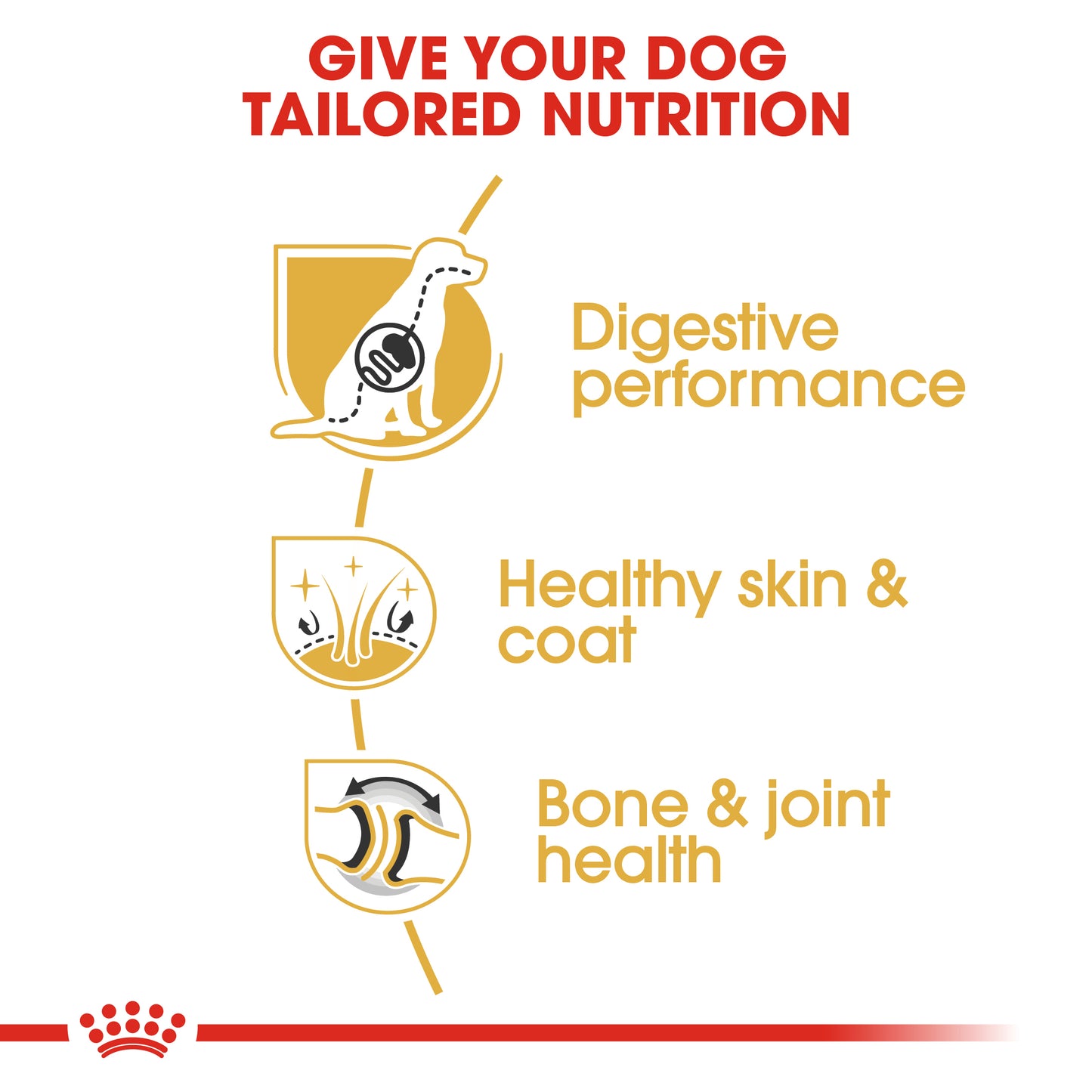 Royal Canin German Shepherd Adult Dry Dog Food 3kg & 11kg