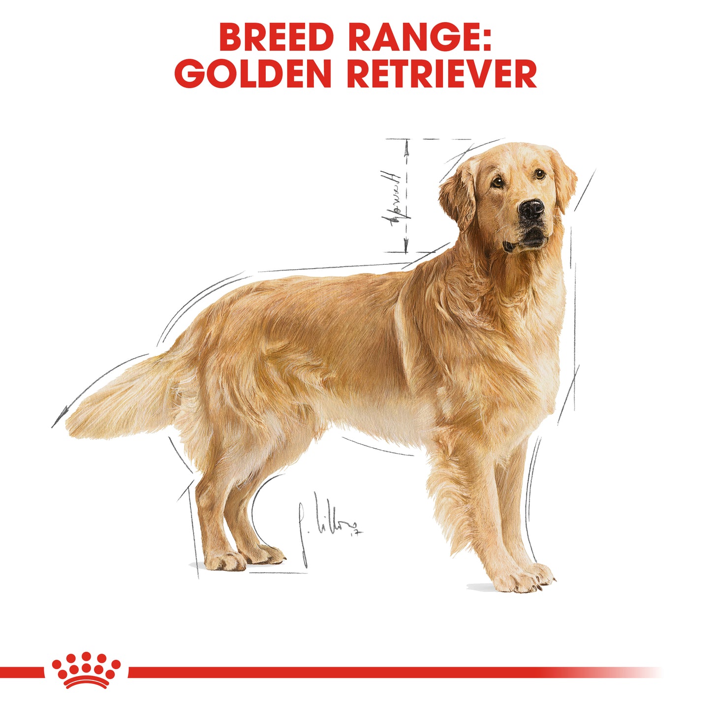 Royal Canin Golden Retriever Adult Dry Dog Food 3kg & 12kg