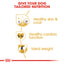 Royal Canin Golden Retriever Adult Dry Dog Food 3kg & 12kg