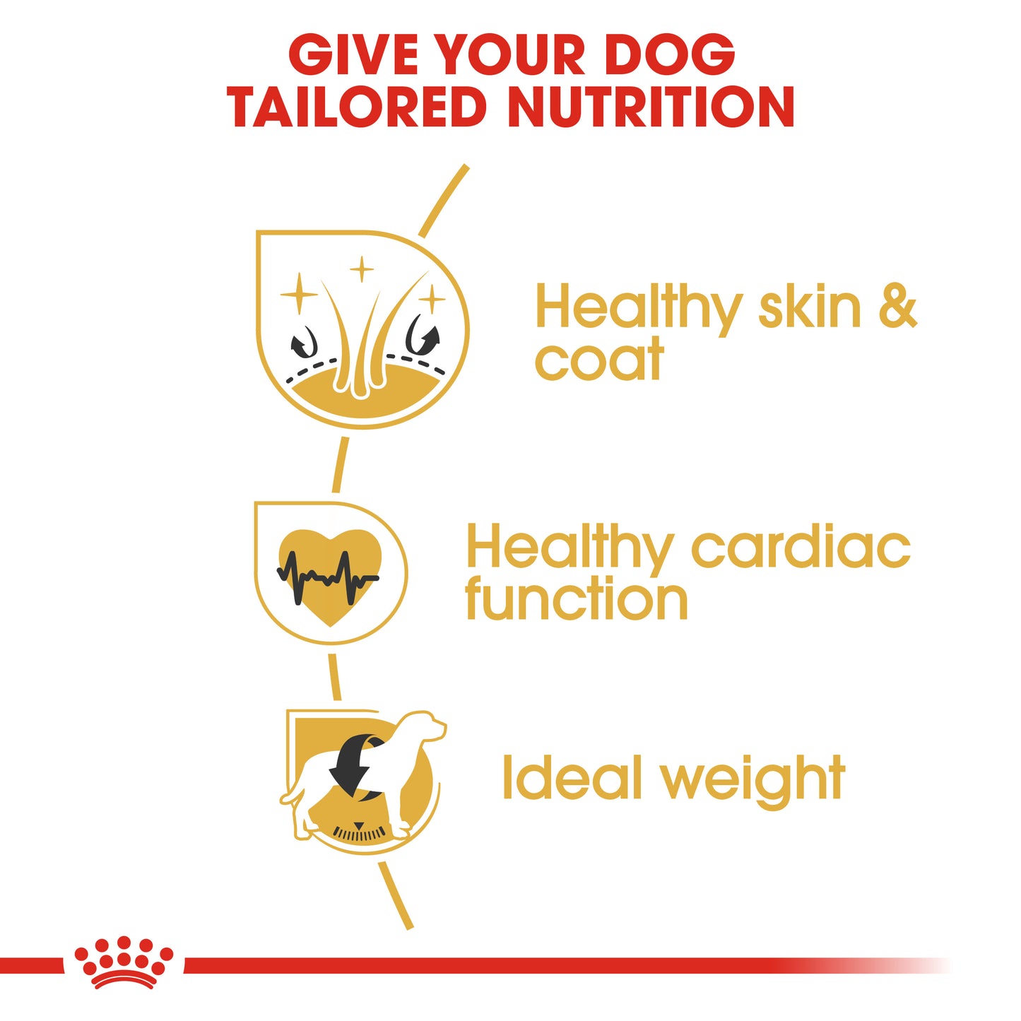Royal Canin Golden Retriever Adult Dry Dog Food 3kg & 12kg
