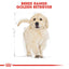Royal Canin Puppy Golden Retriever Dry Dog Food 3kg & 12kg