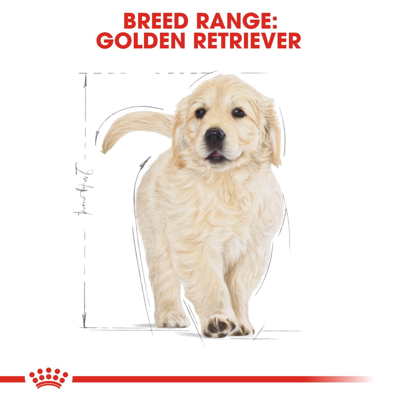 Royal Canin Puppy Golden Retriever Dry Dog Food 3kg & 12kg