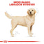 Royal Canin Labrador Retriever Adult Dry Dog Food 3kg & 12kg