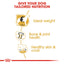 Royal Canin Labrador Retriever Adult Dry Dog Food 3kg & 12kg