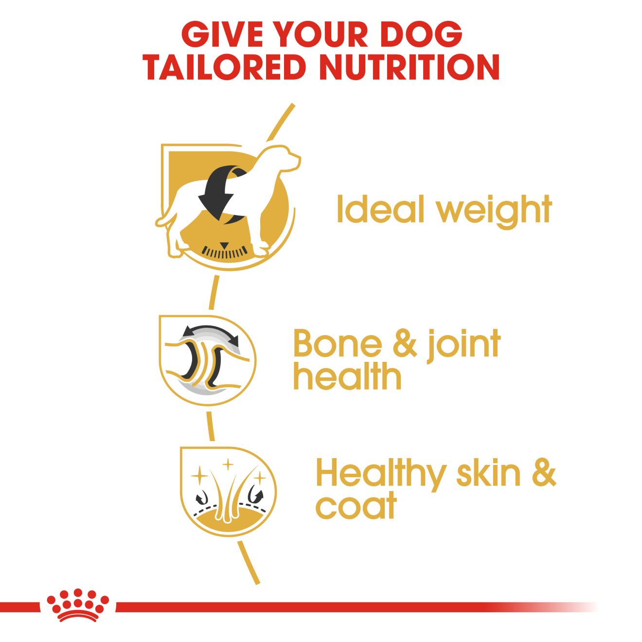 Royal Canin Labrador Retriever Adult Dry Dog Food 3kg & 12kg