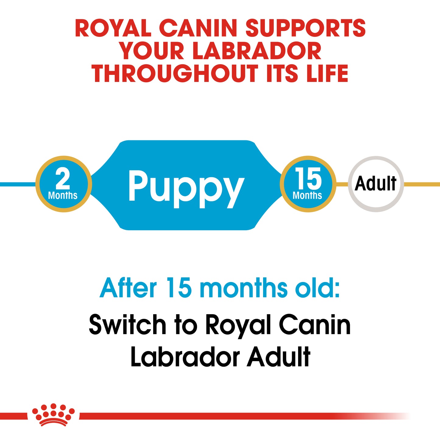 Royal Canin Puppy Labrador Retriever Dry Dog Food 3kg & 12kg