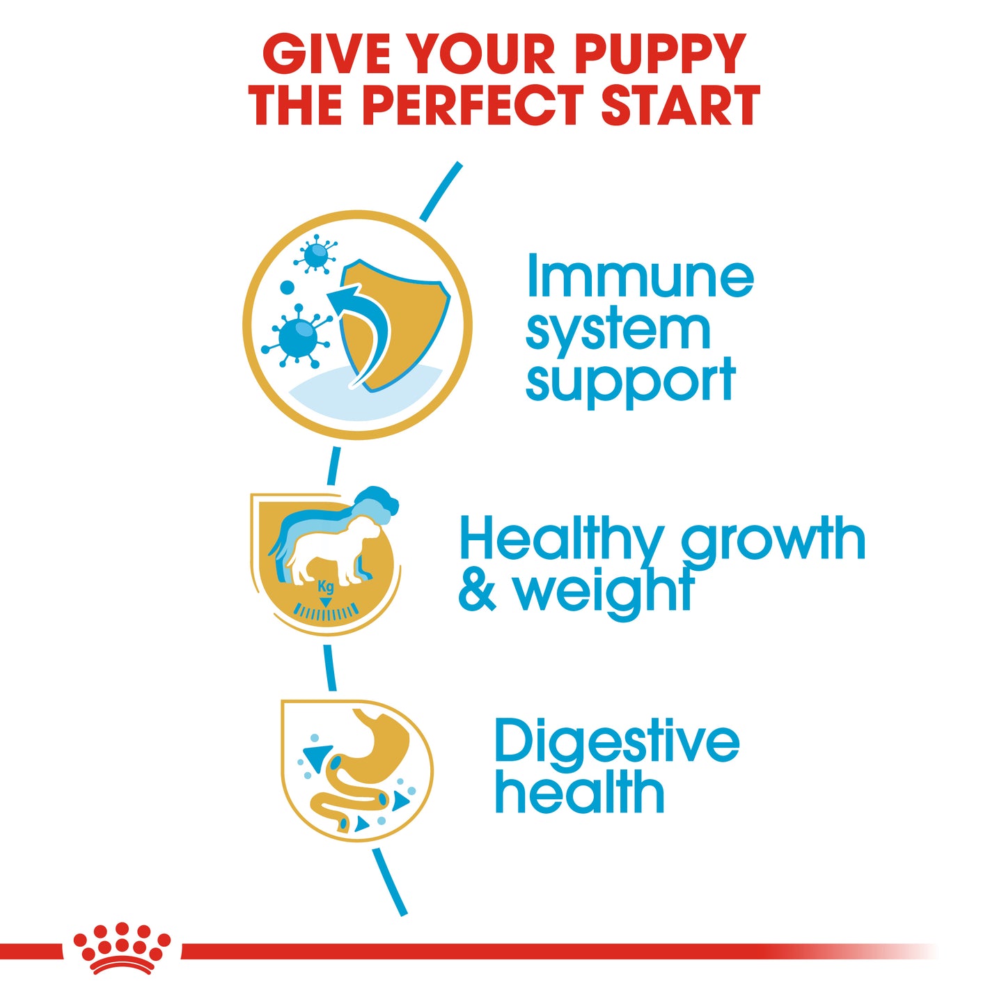 Royal Canin Puppy Labrador Retriever Dry Dog Food 3kg & 12kg