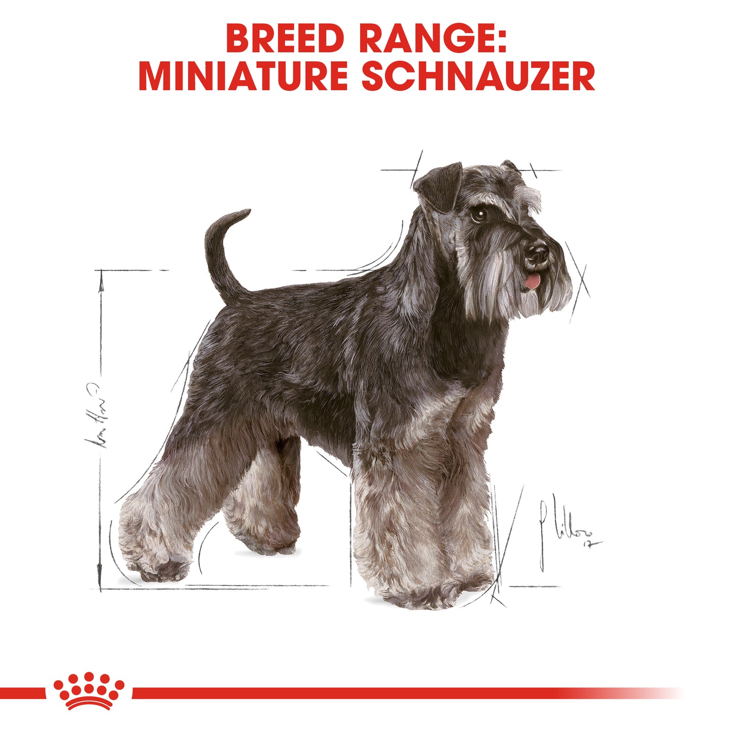 Royal Canin Miniature Schnauzer Adult Dry Dog Food 3kg