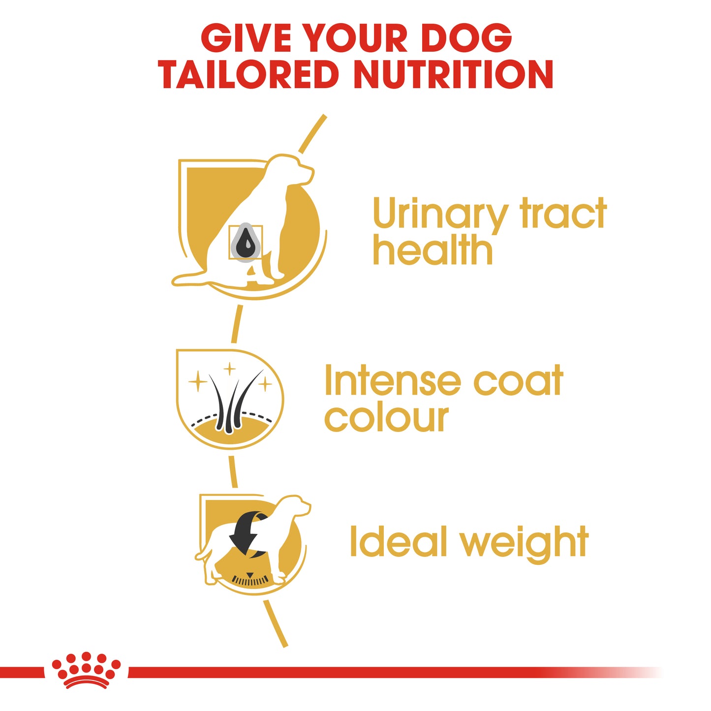 Royal Canin Miniature Schnauzer Adult Dry Dog Food 3kg