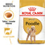 Royal Canin Poodle Adult Dry Dog Food 1.5kg